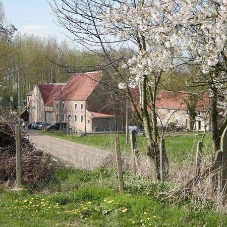 De Verborgen Parel B&B Borgloon Exterior foto