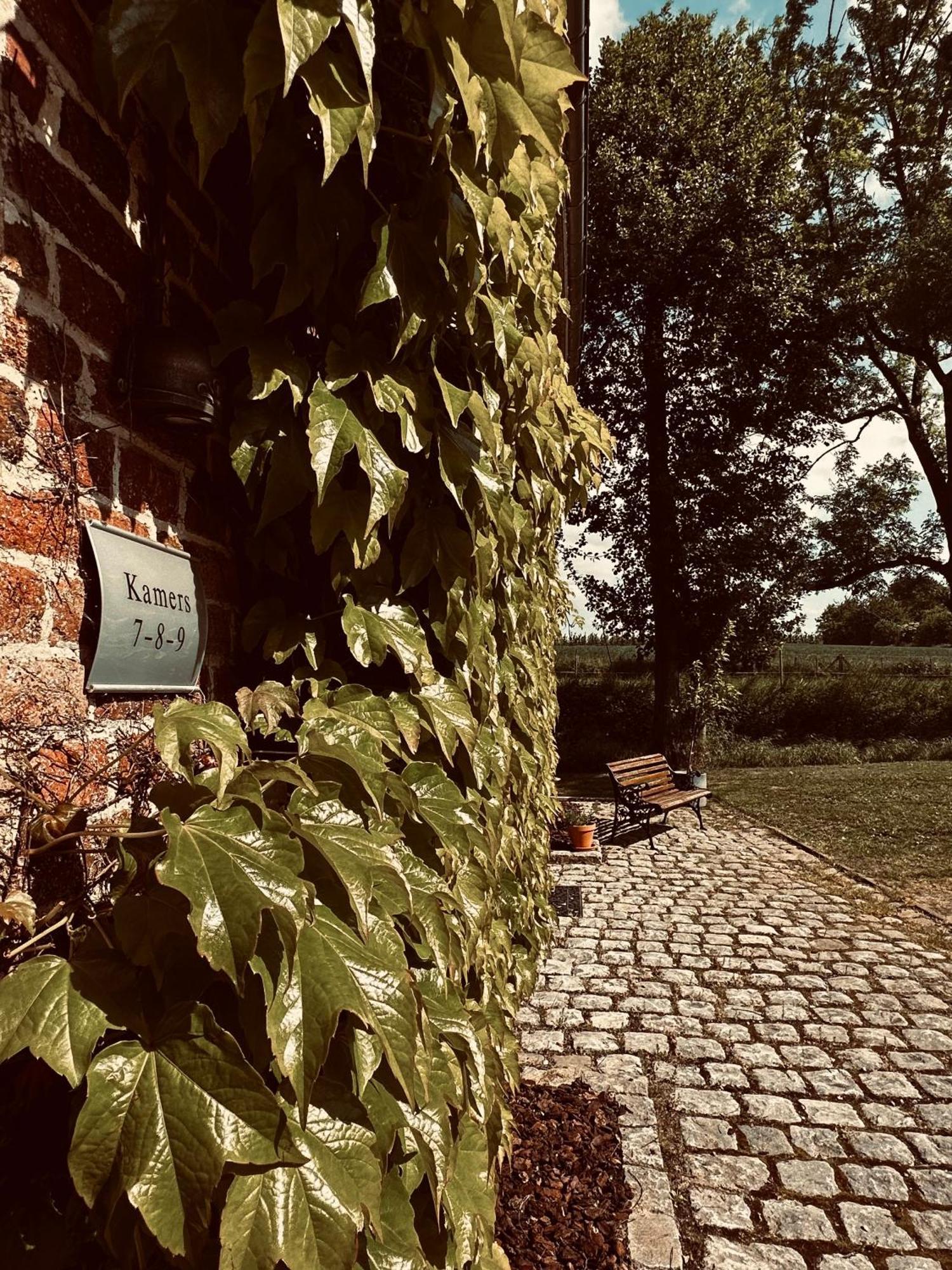 De Verborgen Parel B&B Borgloon Exterior foto