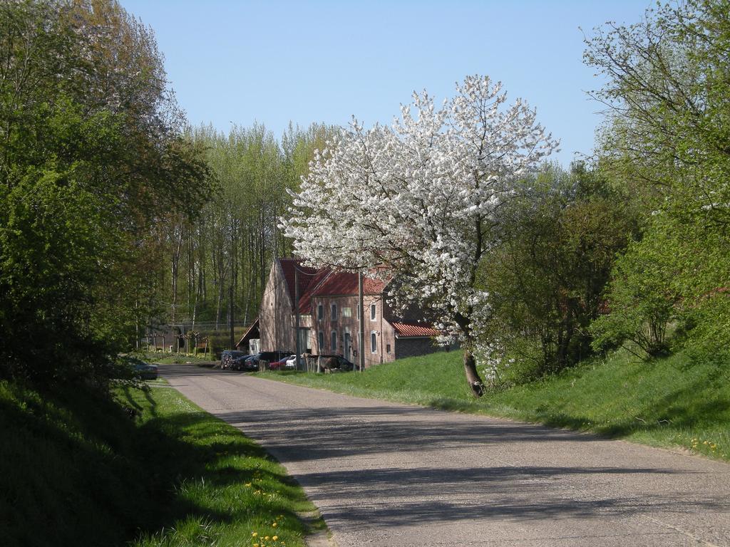 De Verborgen Parel B&B Borgloon Exterior foto